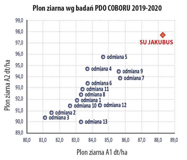 Jęczmień ozimy Jakubus C1 2250 zł brutto tona - TRANSPORT GRATIS