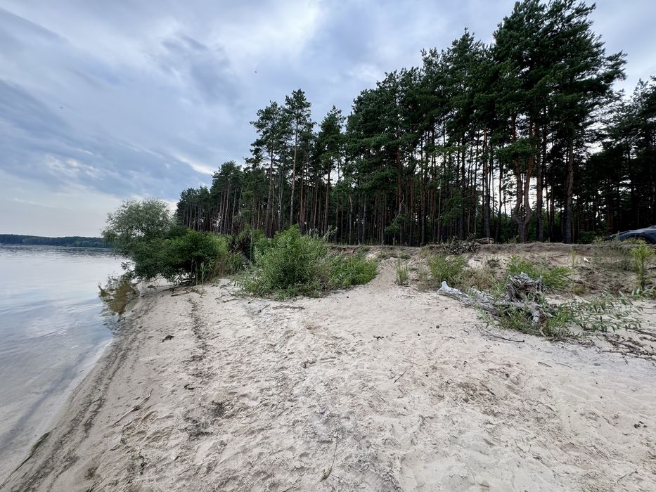 Продаж ділянки від 40 соток до 10Га. с. Ясногородка Киівська область