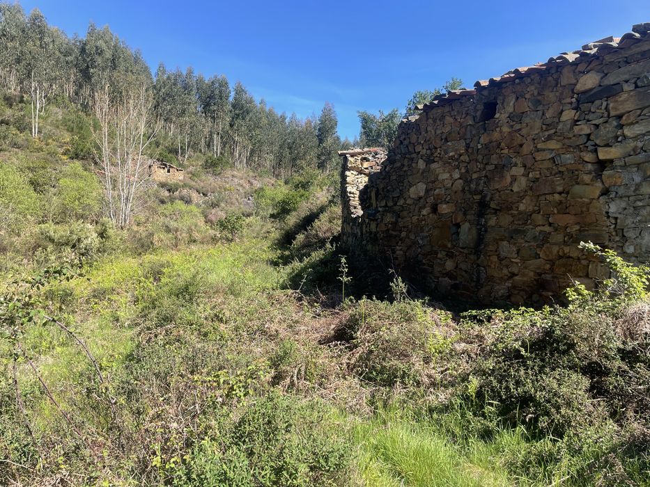 2hect com ribeira para bebier, ruina para tecuperar, caravano