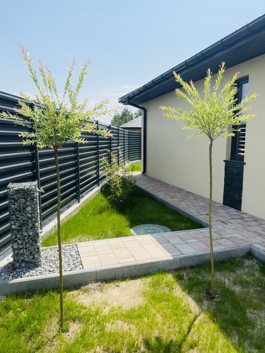 Продаж будинку з терасою та лісом поруч