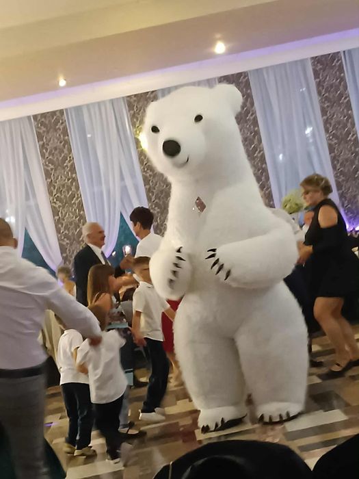 Misio XXL 2,5 metra Misio Rysio wynajem na twoją imprezę