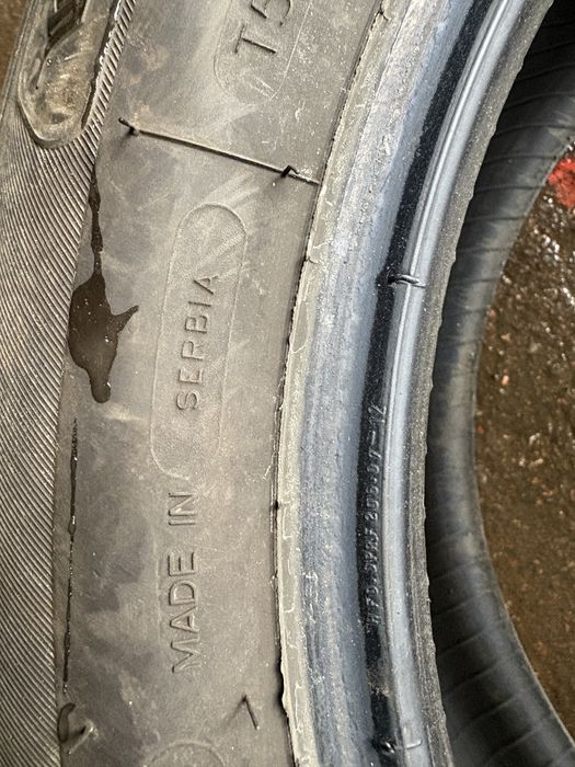 Kormoran Performance 2024р.