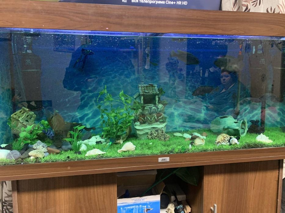 Акваріум діючий ,німецького виробництва