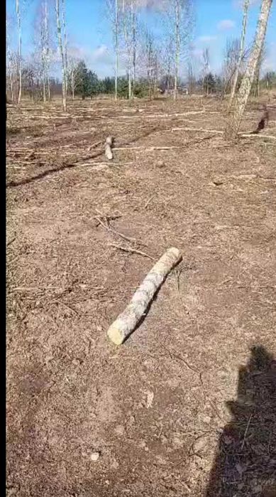 Profesjonalna wycinka drzew i czyszczenie działek oraz sadów