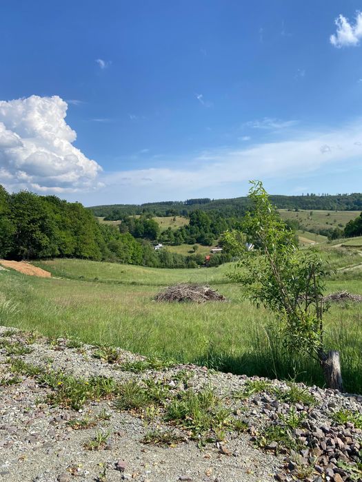 Działki budowlane Zagórze Śląskie