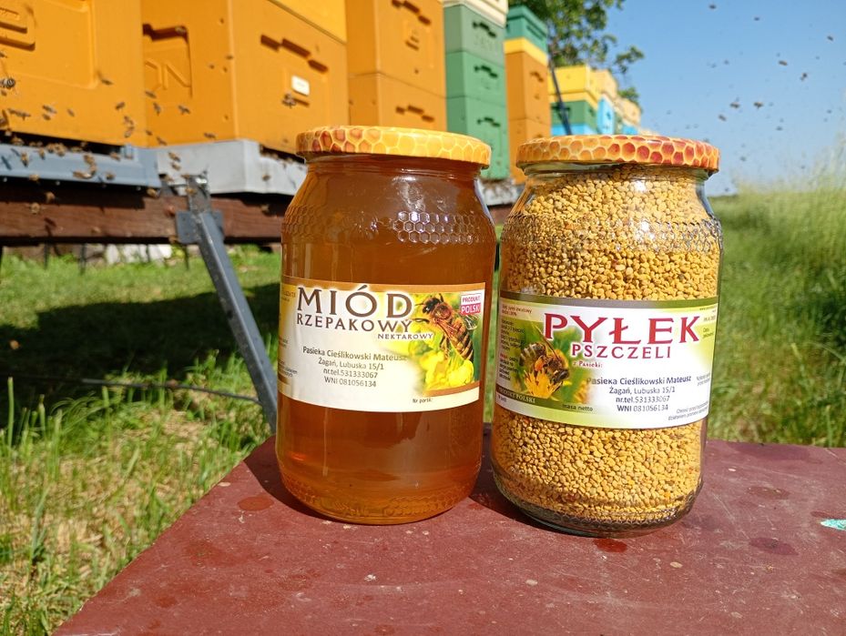 Pyłek pszczeli, miód rzepakowy