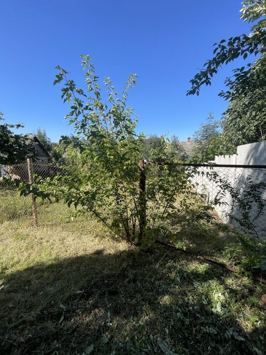 Покос трави/Косіння трави/Порізка Дерев / Виріз дерев