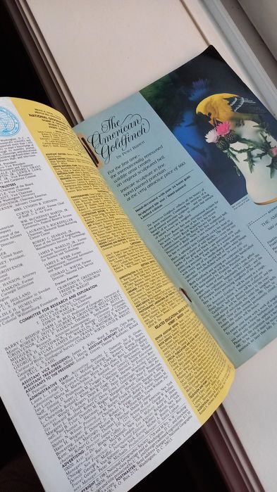 Revista National Geographic anos 80