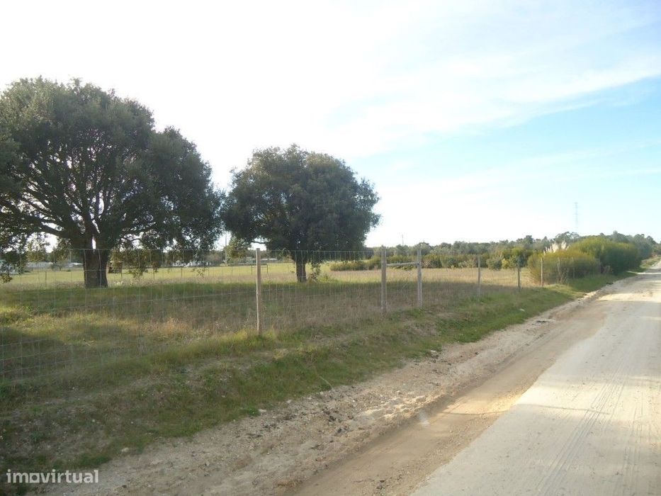 Palmela Terreno rústico com 6150 m2 vedado.