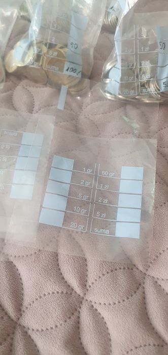 Woreczki do segregacji bilonu 100szt