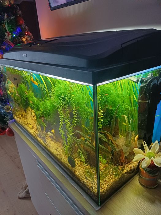 Sprzedam akwarium 120l