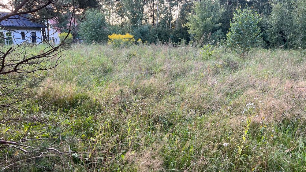 Sprzedam działkę budowlaną w miejscowości Kosewo - Widok 5
