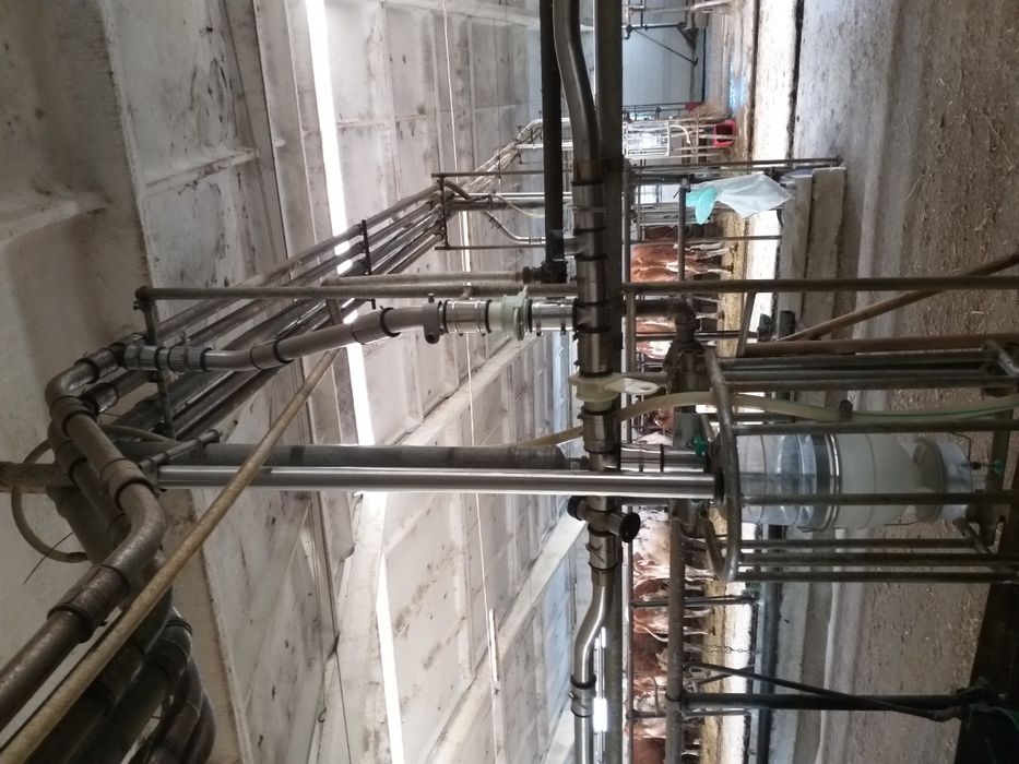 Міні ферма, молокопровод, вакуумна лінія для домашніх господарств.