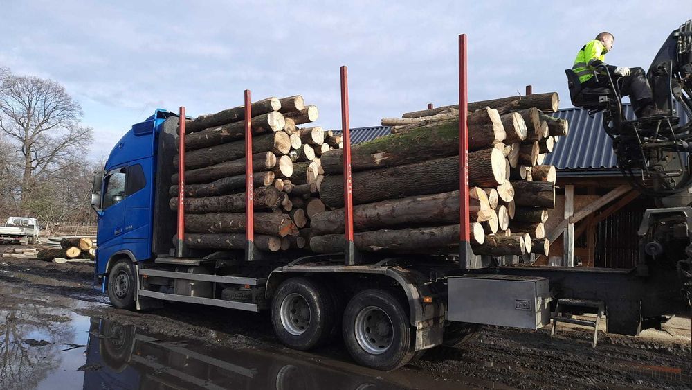 buk, jesion,dąb - kłody, dostawa