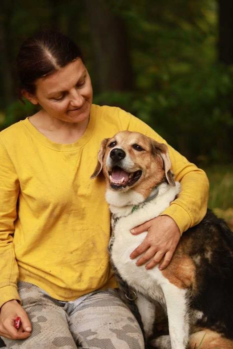 MORIS - bardzo łagodny, miły, mix beagla.[FILMIKI]