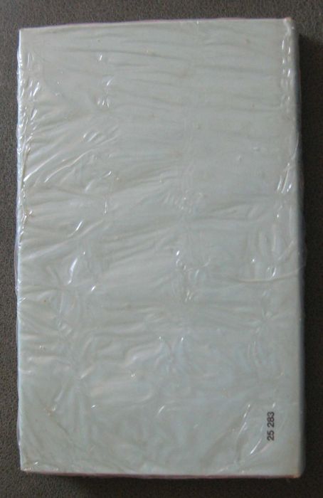 A Queda dum Anjo de Camilo Castelo Branco NOVO