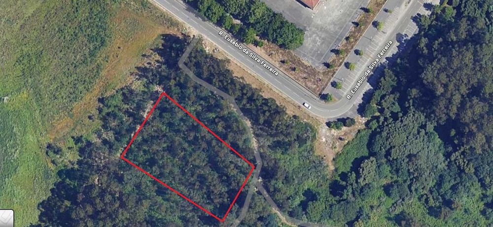 Terreno rustico pinhal — Nogueira E Silva Escura, Porto