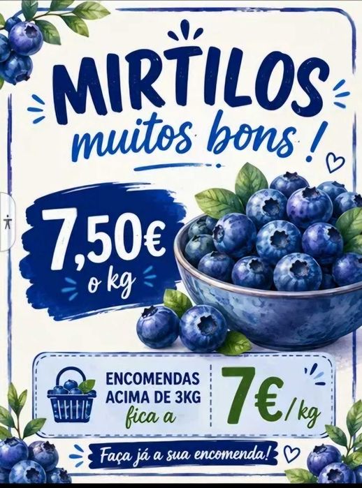 Mirtilos boms de qualidade8