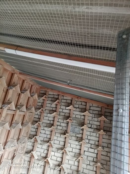 Gołębnik 7.5m x 2m