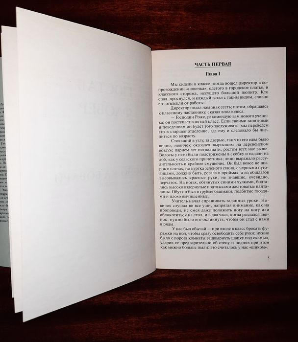 Гюстав Флобер "Госпожа Боварі"