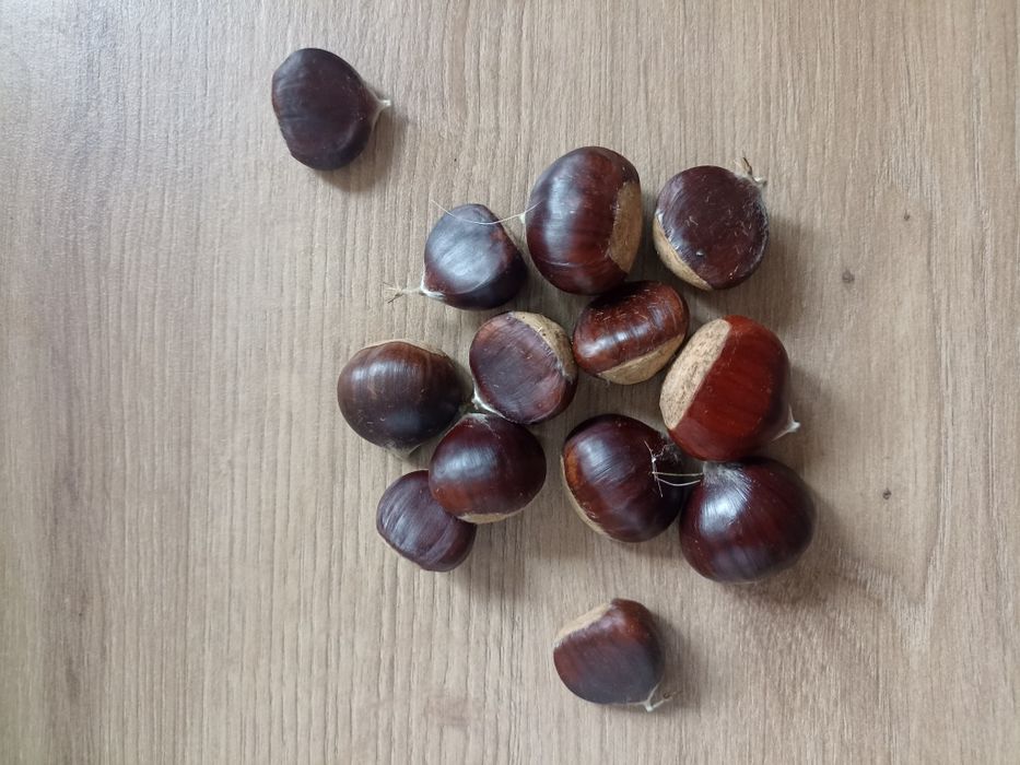 Kasztany jadalne tegoroczne 2kg