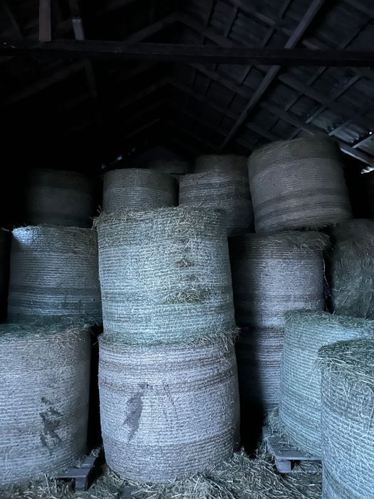 Siano sianokiszonką w belach