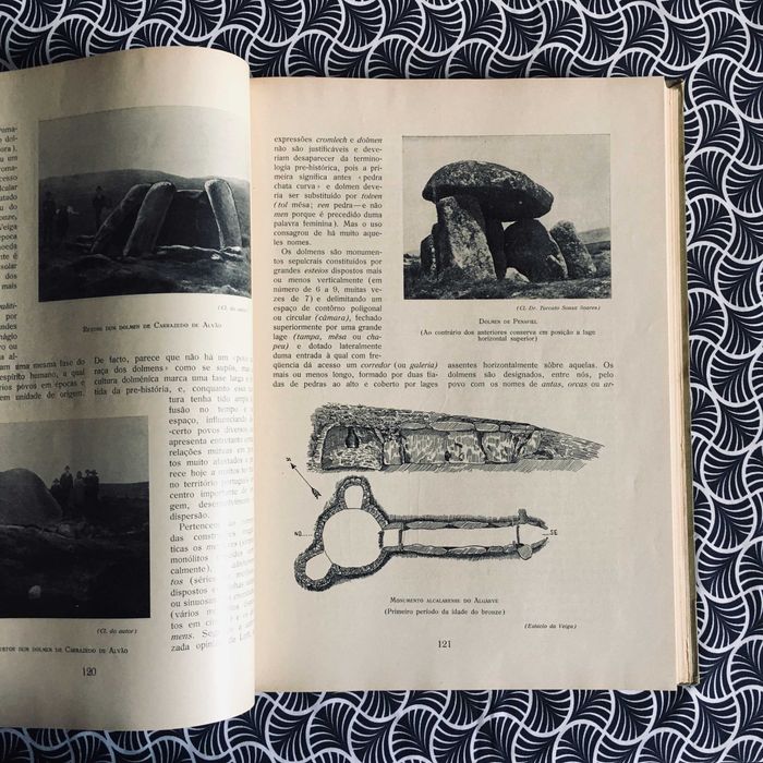 História de Portugal:  Edição Monumental da Portucalense Editora
