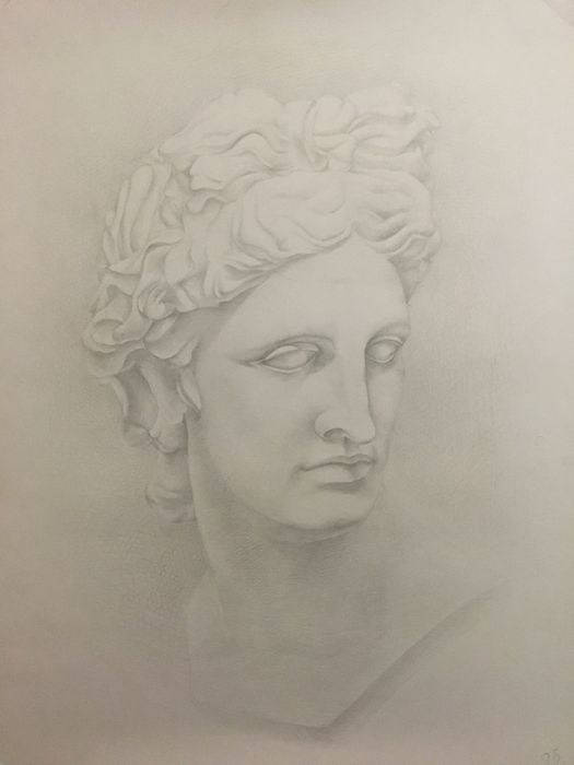 Рисунок грецьких скульптур/графічні роботи/Аполон/Венера/Антиной