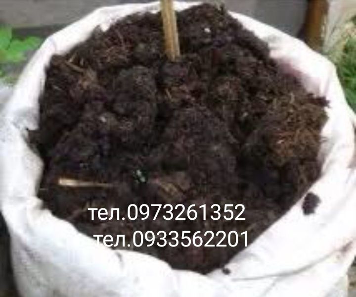 Перегной (коров'ячий) та інше