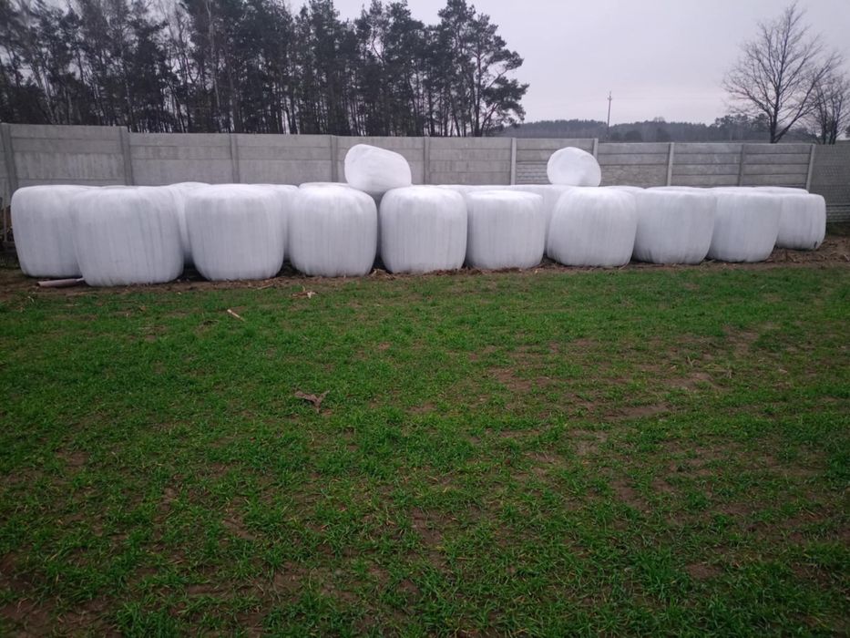 Sianokiszonka kiszonka z traw