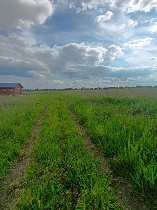 Продаж ділянки для будівництва с. Димер