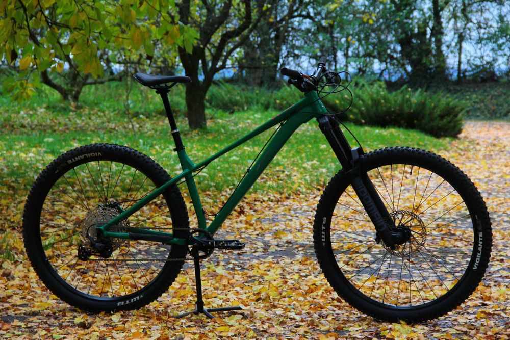 Rower Qark Rage enduro trail