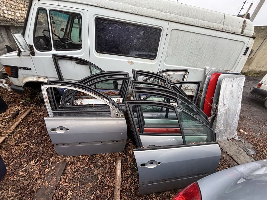 Двері Renault Megane 2 Scenic 2 Grand Scenic 2