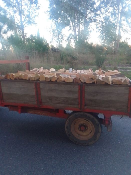 Vende se lenha de boa qualidade