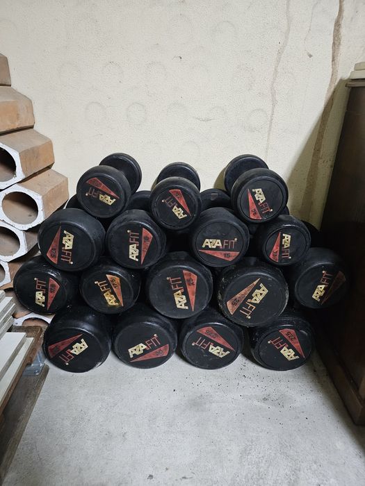 Halteres Profissionais AZAFIT  usados  (295kg)