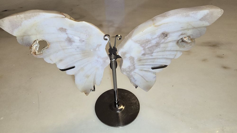 Borboleta agata flor