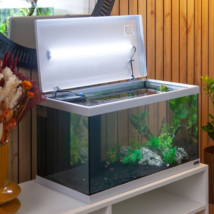 Aquario com tampa e luz led novo