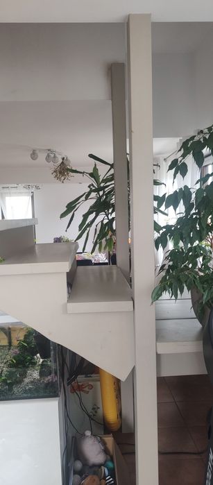 Schody samonośne zabiegowe stopnie trepy drewniane