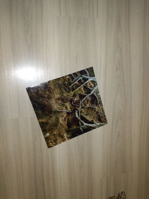 Tapeta do akwarium 28 x 30 cm