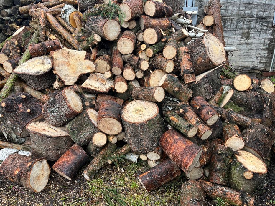 Drewno owocowe i opałowe brzoza i klon sosna