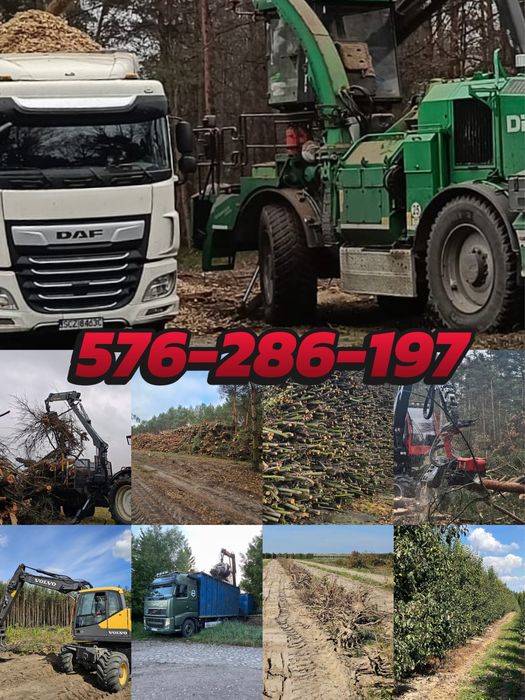 Wycinka drzew ,karczowanie sadów i samosiewu z korzeniami.