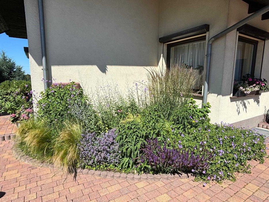 Usługi ogrodnicze - zakładanie ogrodów, pielęgnacja, przycinanie tuj