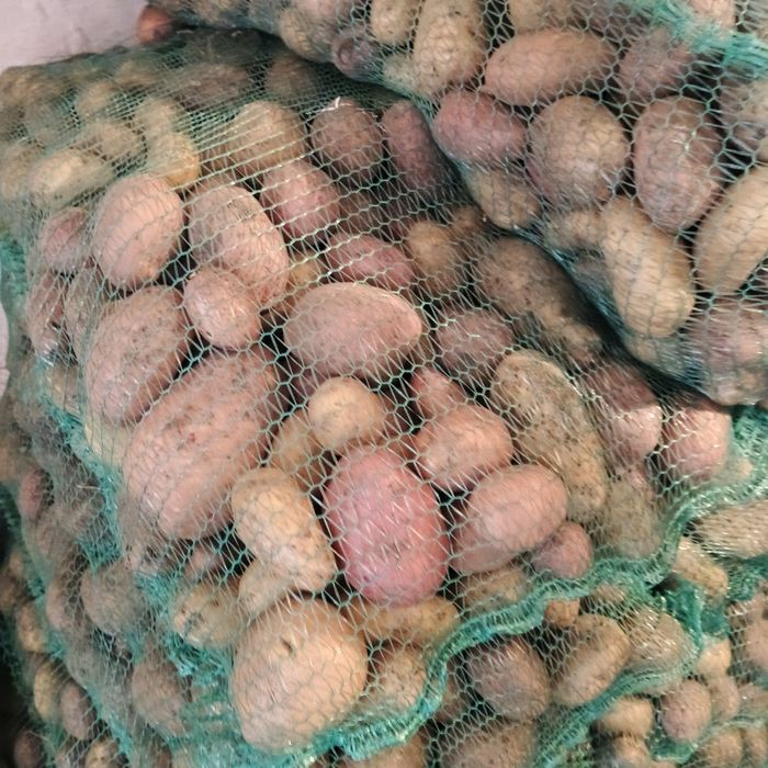 Продам Картоплю.