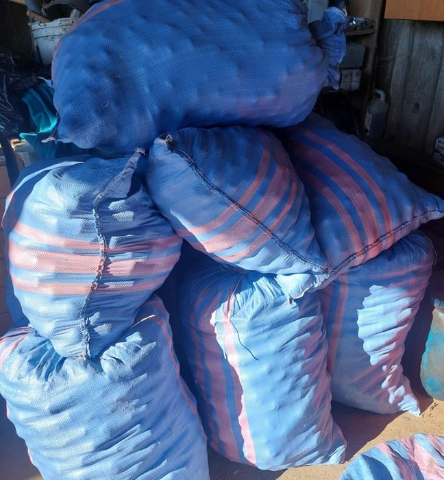 Sadzeniak Amerykany I Irga