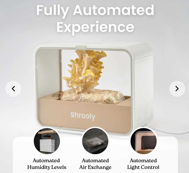 Shrooly urządzenie do uprawy grzybów