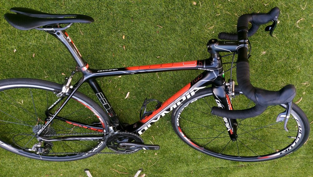 Olympia carbono t54