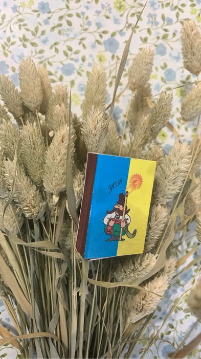 Сухоцвіти, кермек різноколоровий, фалярис натуральний, геліптерум