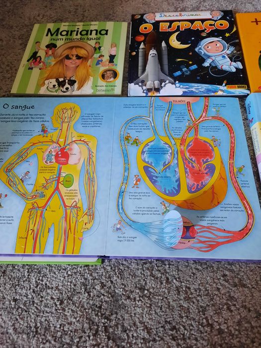 Vários livros educativos