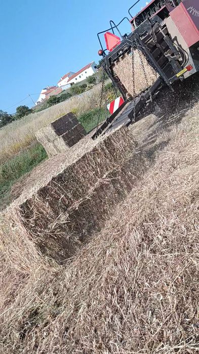 Fardo feno nascidisso 80x90 campanha 2026