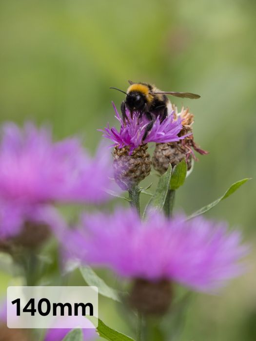 Об'єктив Panasonic Lumix G Vario 14-140mm f/3.5-5.6 II ASPH. P.O.I.S.